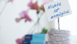 Praxisgemeinschaft Rhypark Ergotherapie